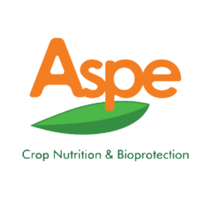 Aspe logo