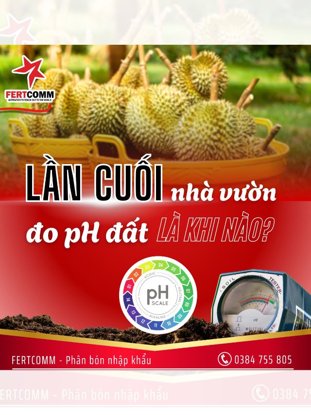 LẦN CUỐI NHÀ VƯỜN ĐO pH ĐẤT LÀ KHI NÀO?